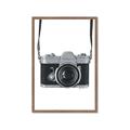Picture of Vintage Camera  _GroupedProduct_Rectangle_Portrait_Framed_Matted_