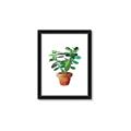 Picture of Aloe Plant _GroupedProduct_Rectangle_Portrait_Framed_Matted_
