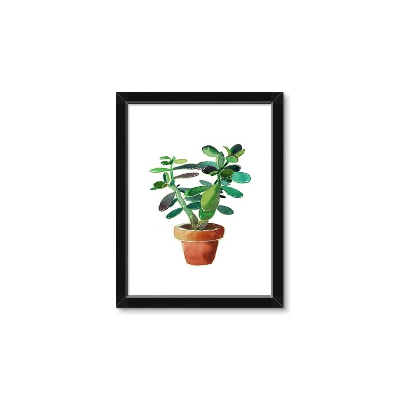 Picture of Aloe Plant _GroupedProduct_Rectangle_Portrait_Framed_Matted_