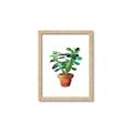 Picture of Aloe Plant _GroupedProduct_Rectangle_Portrait_Framed_Matted_