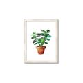 Picture of Aloe Plant _GroupedProduct_Rectangle_Portrait_Framed_Matted_