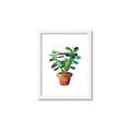 Picture of Aloe Plant _GroupedProduct_Rectangle_Portrait_Framed_Matted_