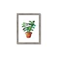 Picture of Aloe Plant _GroupedProduct_Rectangle_Portrait_Framed_Matted_