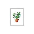 Picture of Aloe Plant _GroupedProduct_Rectangle_Portrait_Framed_Matted_