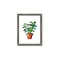 Picture of Aloe Plant _GroupedProduct_Rectangle_Portrait_Framed_Matted_