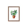 Picture of Aloe Plant _GroupedProduct_Rectangle_Portrait_Framed_Matted_