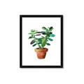 Picture of Aloe Plant _GroupedProduct_Rectangle_Portrait_Framed_Matted_