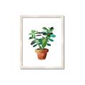 Picture of Aloe Plant _GroupedProduct_Rectangle_Portrait_Framed_Matted_