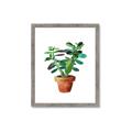 Picture of Aloe Plant _GroupedProduct_Rectangle_Portrait_Framed_Matted_