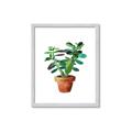 Picture of Aloe Plant _GroupedProduct_Rectangle_Portrait_Framed_Matted_