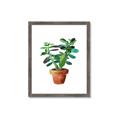 Picture of Aloe Plant _GroupedProduct_Rectangle_Portrait_Framed_Matted_