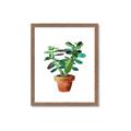 Picture of Aloe Plant _GroupedProduct_Rectangle_Portrait_Framed_Matted_