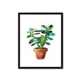 Picture of Aloe Plant _GroupedProduct_Rectangle_Portrait_Framed_Matted_