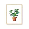 Picture of Aloe Plant _GroupedProduct_Rectangle_Portrait_Framed_Matted_