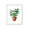 Picture of Aloe Plant _GroupedProduct_Rectangle_Portrait_Framed_Matted_