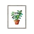 Picture of Aloe Plant _GroupedProduct_Rectangle_Portrait_Framed_Matted_