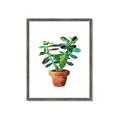 Picture of Aloe Plant _GroupedProduct_Rectangle_Portrait_Framed_Matted_