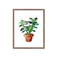 Picture of Aloe Plant _GroupedProduct_Rectangle_Portrait_Framed_Matted_