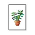 Picture of Aloe Plant _GroupedProduct_Rectangle_Portrait_Framed_Matted_