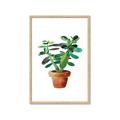 Picture of Aloe Plant _GroupedProduct_Rectangle_Portrait_Framed_Matted_