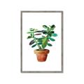 Picture of Aloe Plant _GroupedProduct_Rectangle_Portrait_Framed_Matted_