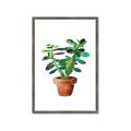 Picture of Aloe Plant _GroupedProduct_Rectangle_Portrait_Framed_Matted_