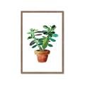 Picture of Aloe Plant _GroupedProduct_Rectangle_Portrait_Framed_Matted_