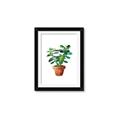 Picture of Aloe Plant _GroupedProduct_Rectangle_Portrait_Framed_Matted_