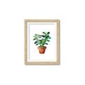 Picture of Aloe Plant _GroupedProduct_Rectangle_Portrait_Framed_Matted_