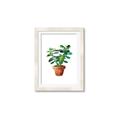 Picture of Aloe Plant _GroupedProduct_Rectangle_Portrait_Framed_Matted_