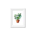 Picture of Aloe Plant _GroupedProduct_Rectangle_Portrait_Framed_Matted_