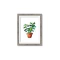 Picture of Aloe Plant _GroupedProduct_Rectangle_Portrait_Framed_Matted_