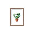 Picture of Aloe Plant _GroupedProduct_Rectangle_Portrait_Framed_Matted_