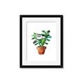 Picture of Aloe Plant _GroupedProduct_Rectangle_Portrait_Framed_Matted_