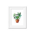 Picture of Aloe Plant _GroupedProduct_Rectangle_Portrait_Framed_Matted_