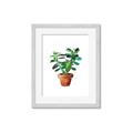 Picture of Aloe Plant _GroupedProduct_Rectangle_Portrait_Framed_Matted_