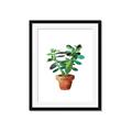 Picture of Aloe Plant _GroupedProduct_Rectangle_Portrait_Framed_Matted_