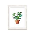 Picture of Aloe Plant _GroupedProduct_Rectangle_Portrait_Framed_Matted_