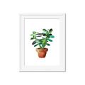 Picture of Aloe Plant _GroupedProduct_Rectangle_Portrait_Framed_Matted_