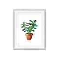 Picture of Aloe Plant _GroupedProduct_Rectangle_Portrait_Framed_Matted_