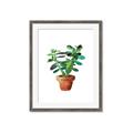 Picture of Aloe Plant _GroupedProduct_Rectangle_Portrait_Framed_Matted_