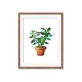 Picture of Aloe Plant _GroupedProduct_Rectangle_Portrait_Framed_Matted_