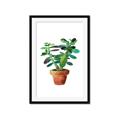 Picture of Aloe Plant _GroupedProduct_Rectangle_Portrait_Framed_Matted_