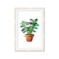 Picture of Aloe Plant _GroupedProduct_Rectangle_Portrait_Framed_Matted_