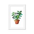 Picture of Aloe Plant _GroupedProduct_Rectangle_Portrait_Framed_Matted_