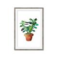 Picture of Aloe Plant _GroupedProduct_Rectangle_Portrait_Framed_Matted_