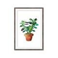 Picture of Aloe Plant _GroupedProduct_Rectangle_Portrait_Framed_Matted_