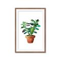 Picture of Aloe Plant _GroupedProduct_Rectangle_Portrait_Framed_Matted_