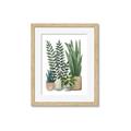 Picture of Plant Party I  _GroupedProduct_Rectangle_Portrait_Framed_Matted_