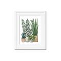 Picture of Plant Party I  _GroupedProduct_Rectangle_Portrait_Framed_Matted_